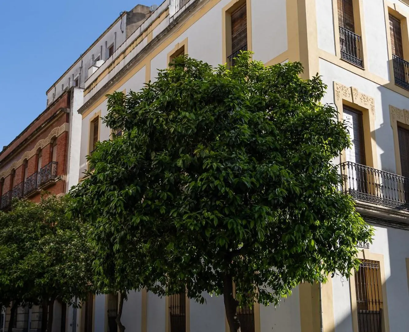 Apartamento Vivienda Señorial Centro Córdoba