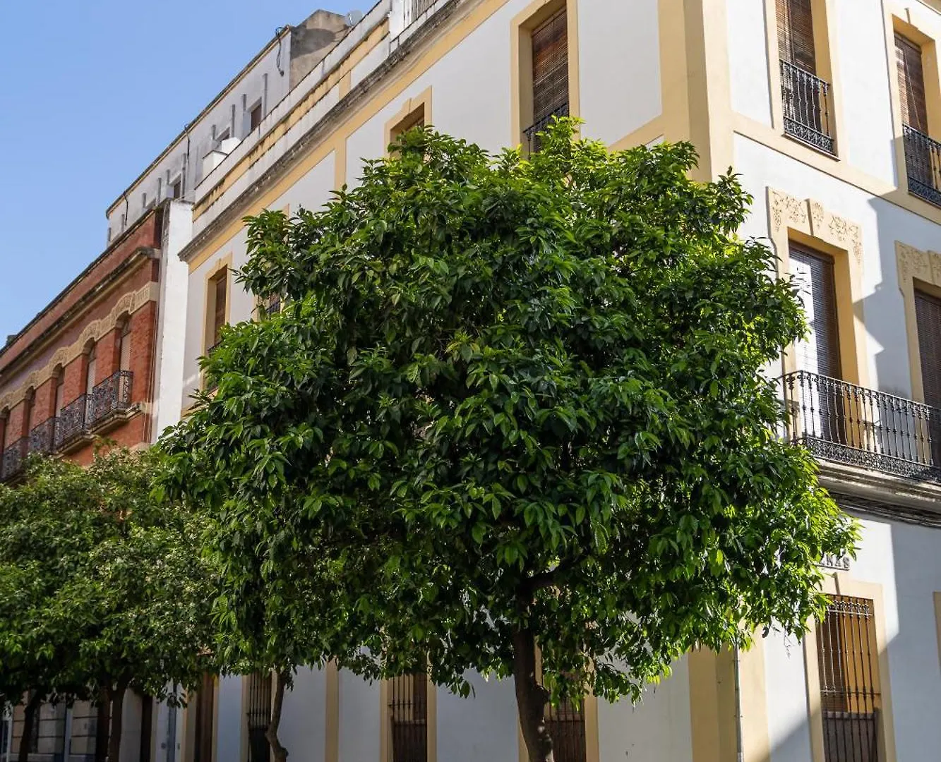 Vivienda Senorial Centro Cordoba Apartment Spain